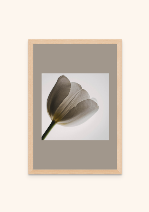 Whisper nature art framed print on a wall — Art Spectrum