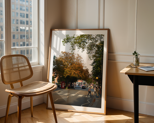 Autumn In Belsize Park