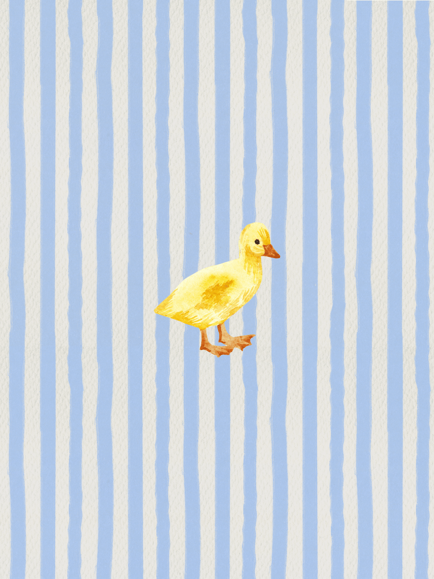 Duck With Stripes - Art Spectrum