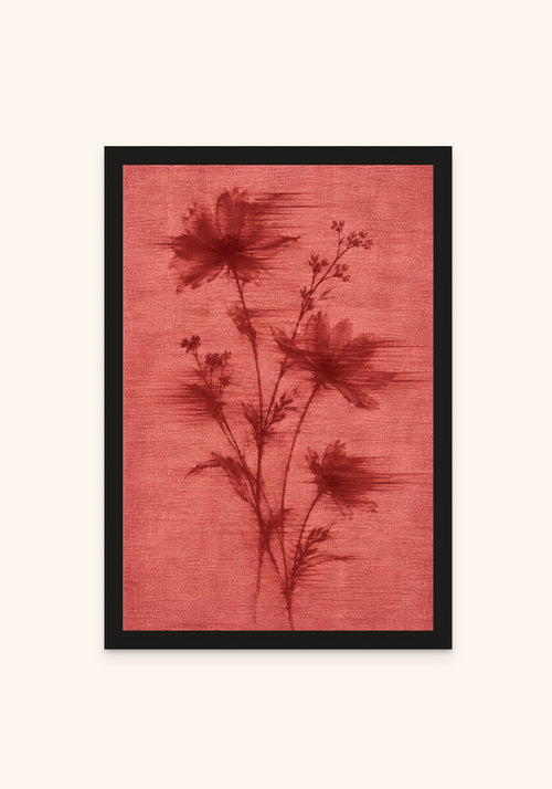 Flores Rojos framed print in a black frame — Art Spectrum