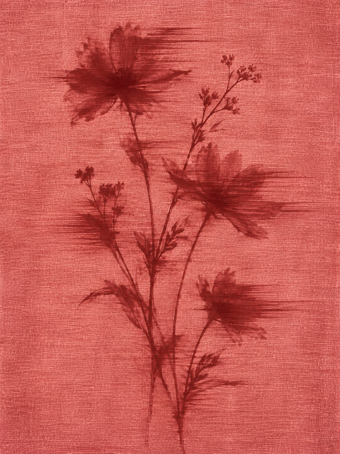 Flores Rojos