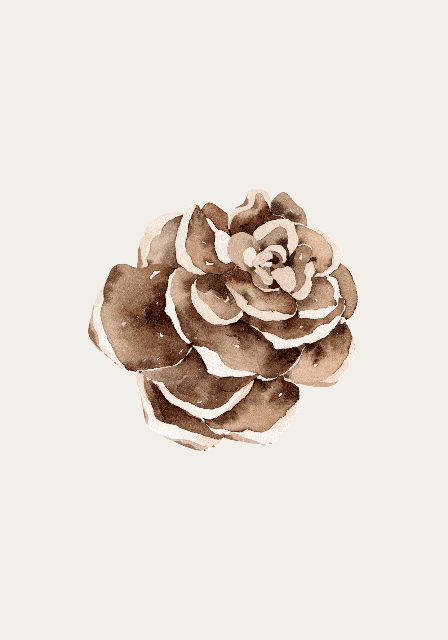 Pine Cone 1 - Art Spectrum