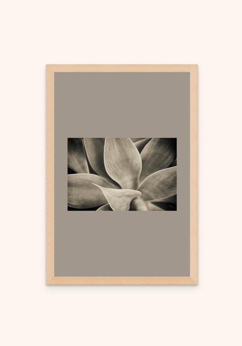 Serene nature art framed print on a wall — Art Spectrum