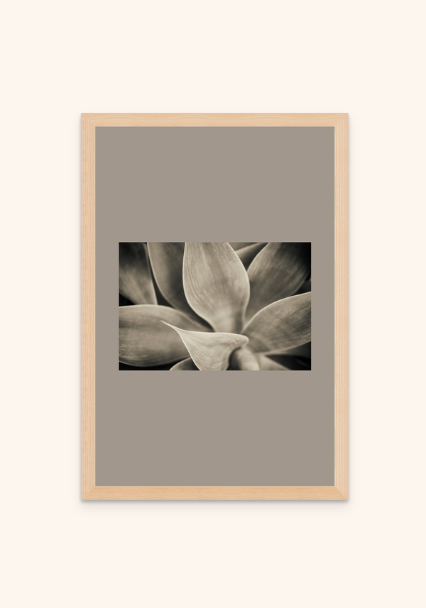 Serene nature art framed print on a wall — Art Spectrum