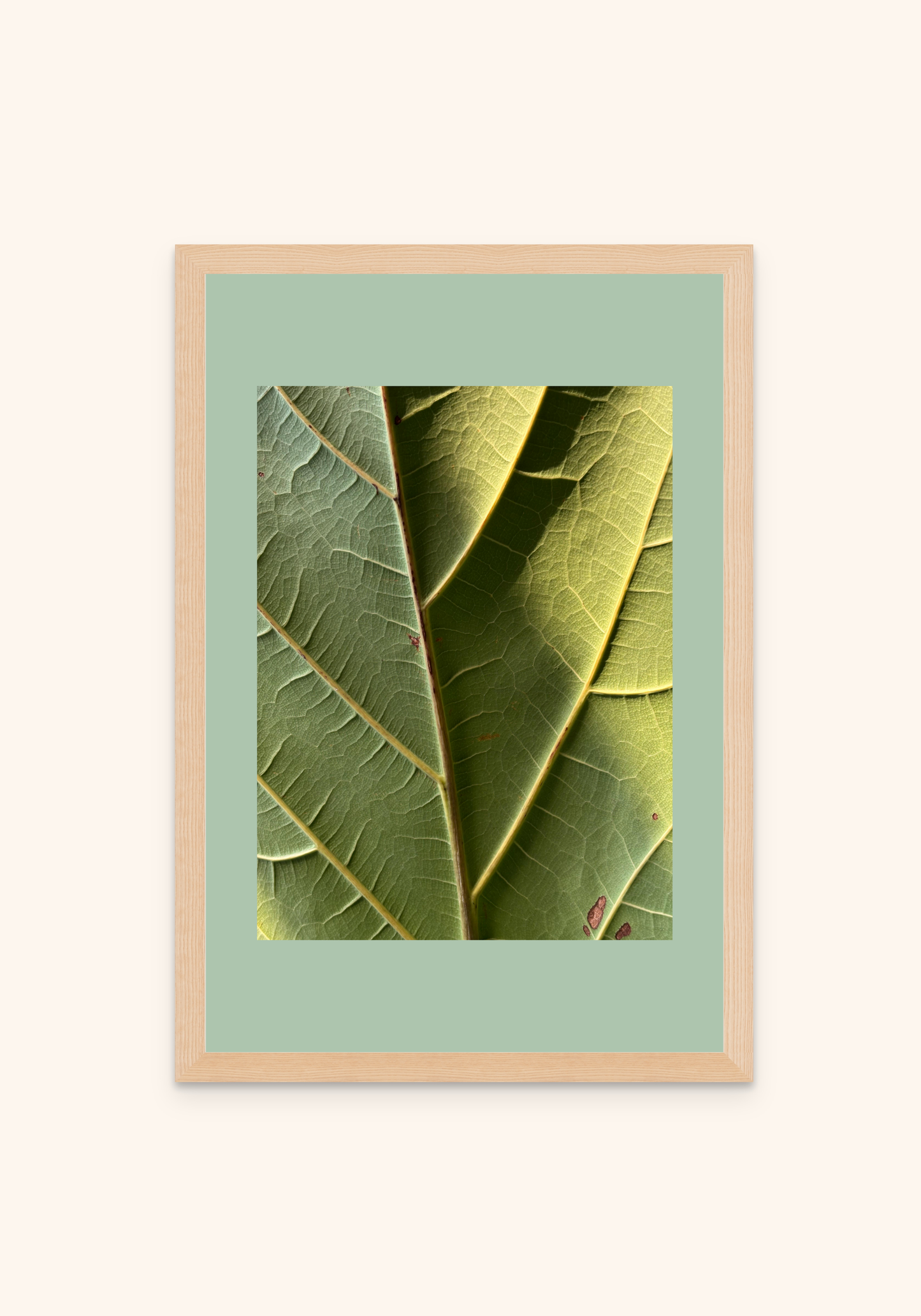 Verdure nature art framed print on a wall — Art Spectrum