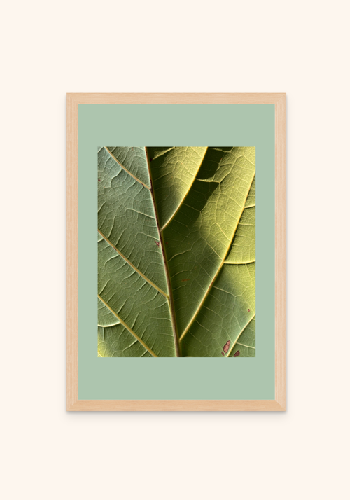 Verdure nature art framed print on a wall — Art Spectrum