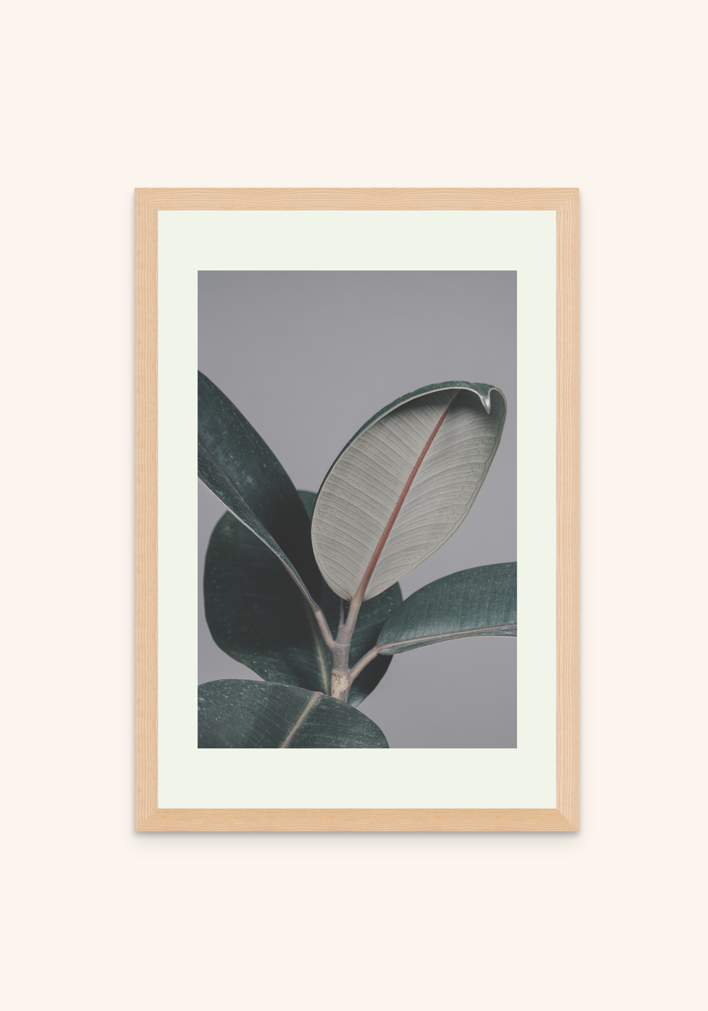 Eclipse nature art framed print on a wall — Art Spectrum