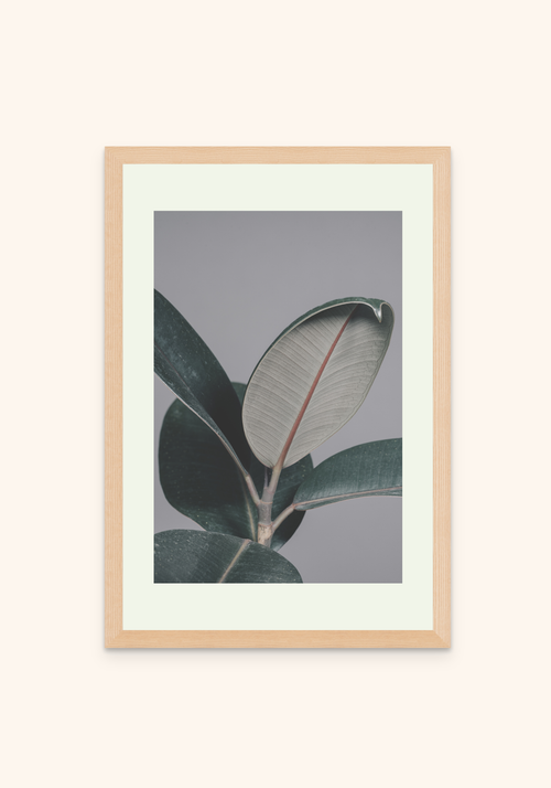 Eclipse nature art framed print on a wall — Art Spectrum
