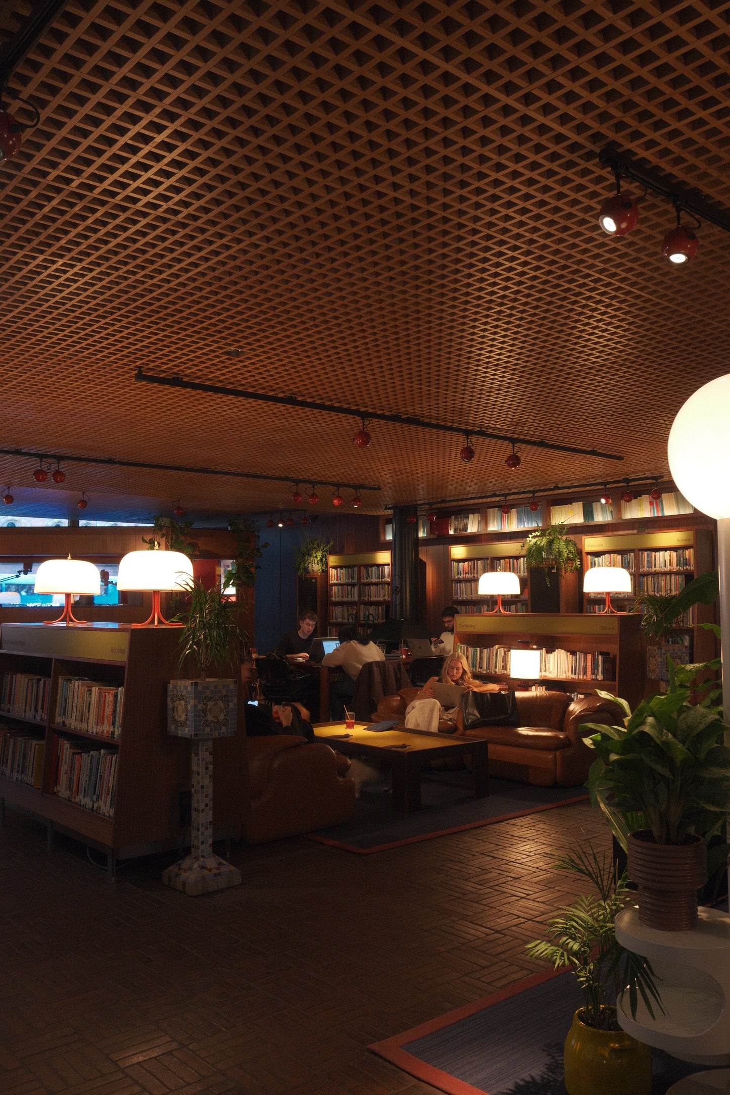 Warmth Between The Shelves