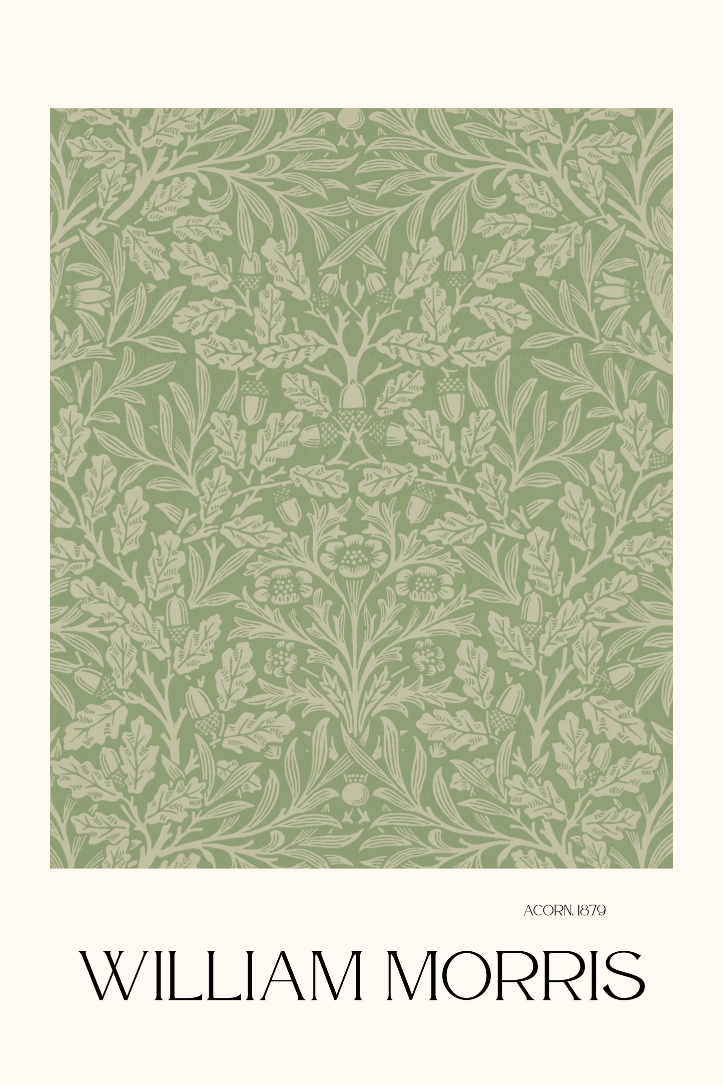 Acorn - Art Spectrum