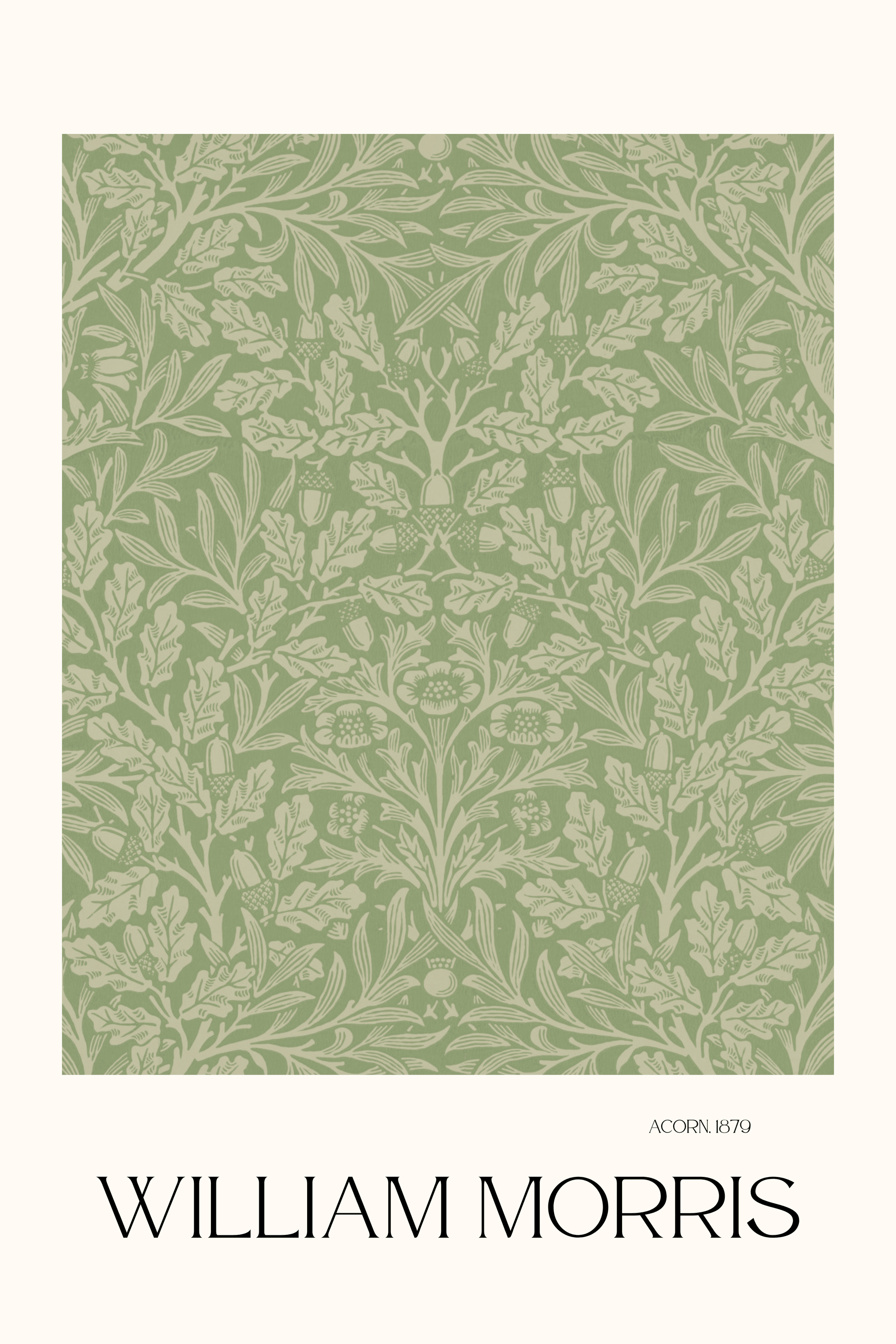 Acorn - Art Spectrum