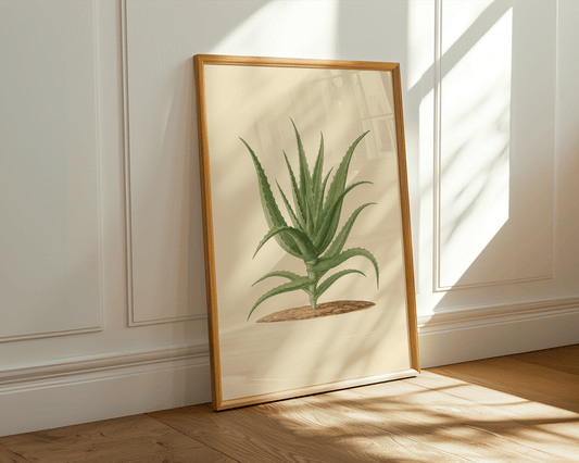 Aloevera - Art Spectrum