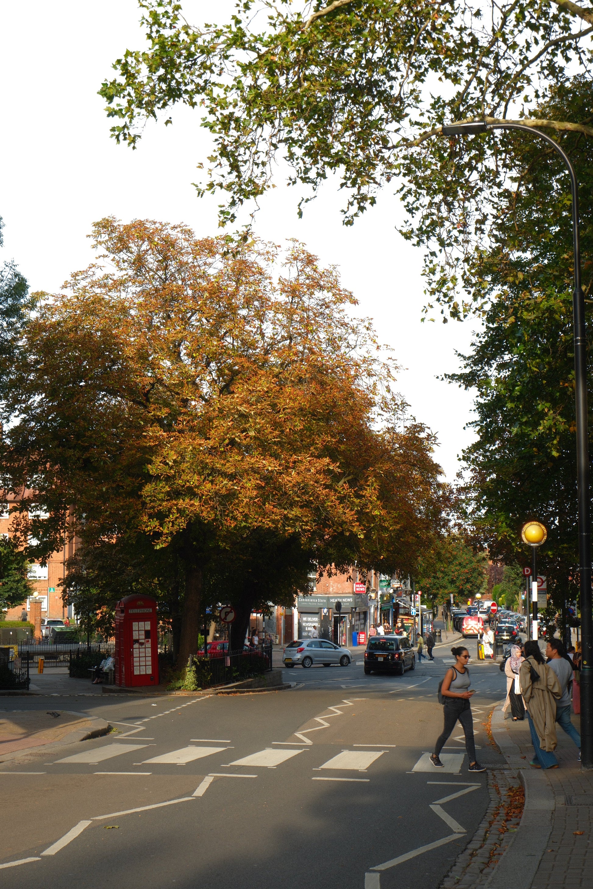 Autumn In Belsize Park - Art Spectrum