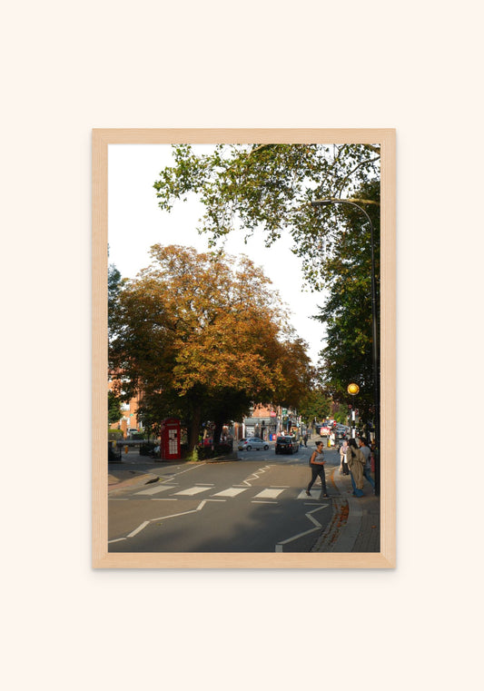 Autumn In Belsize Park - Art Spectrum
