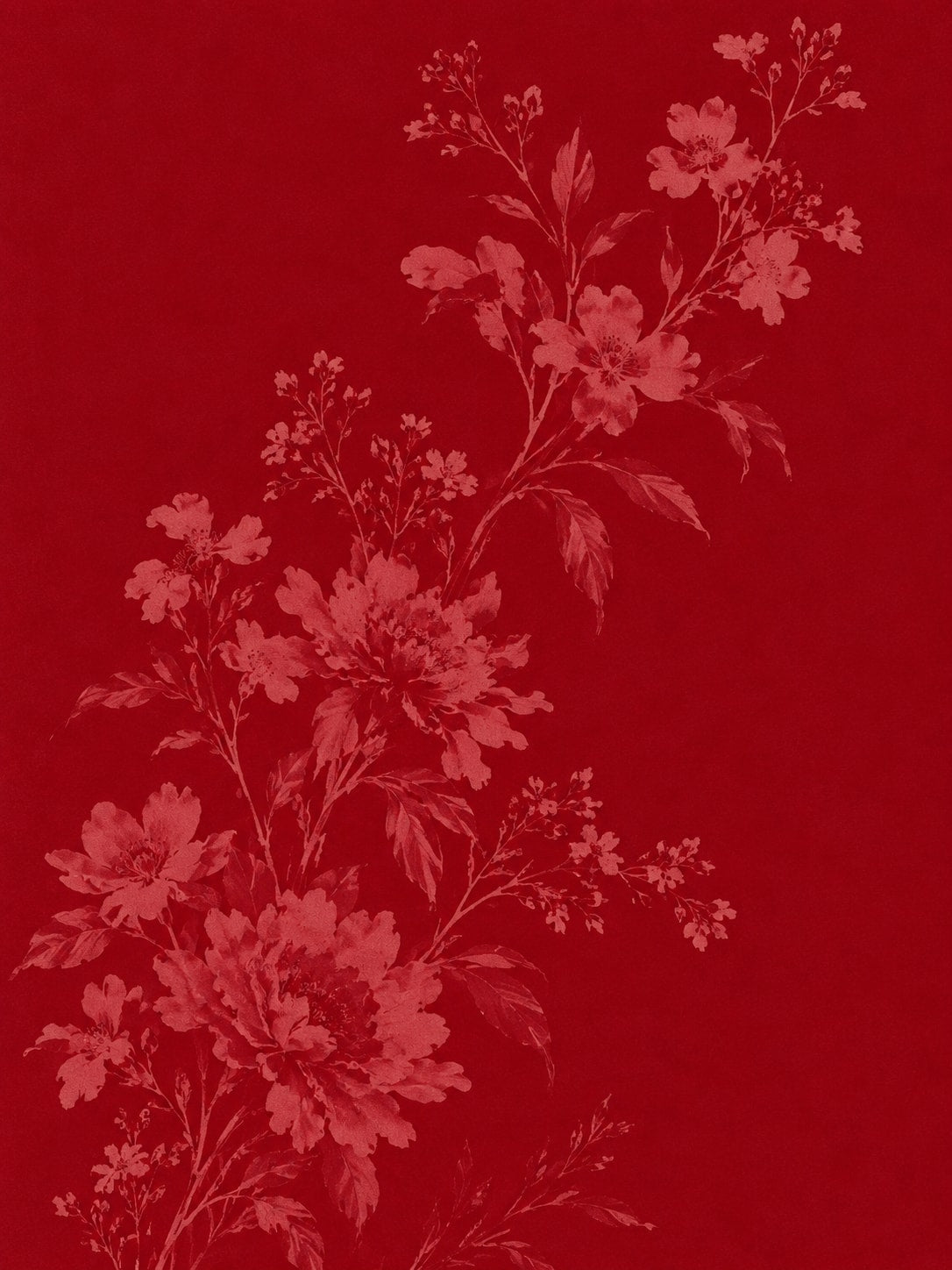 Cyanotype Red