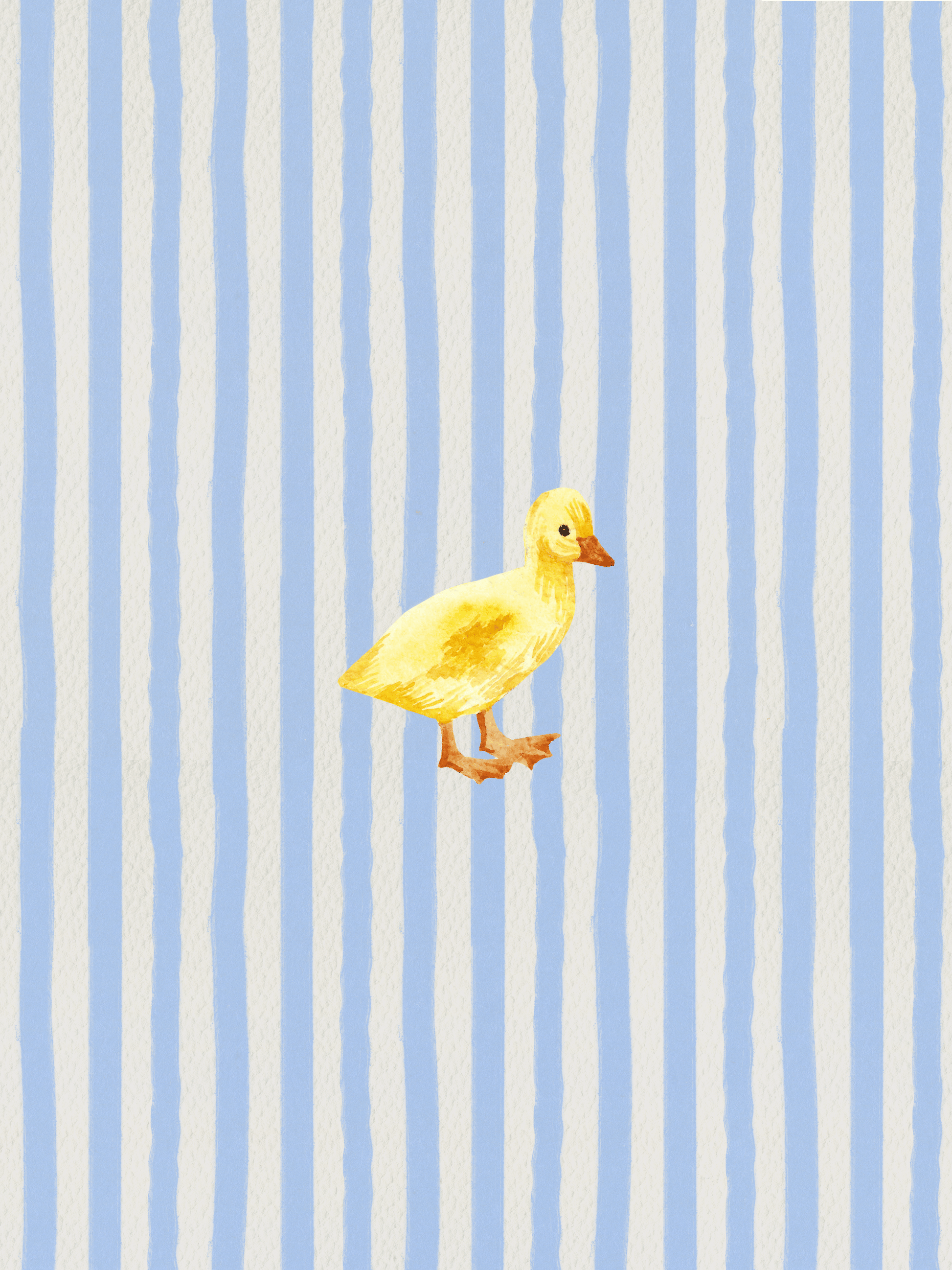Duck With Stripes - Art Spectrum