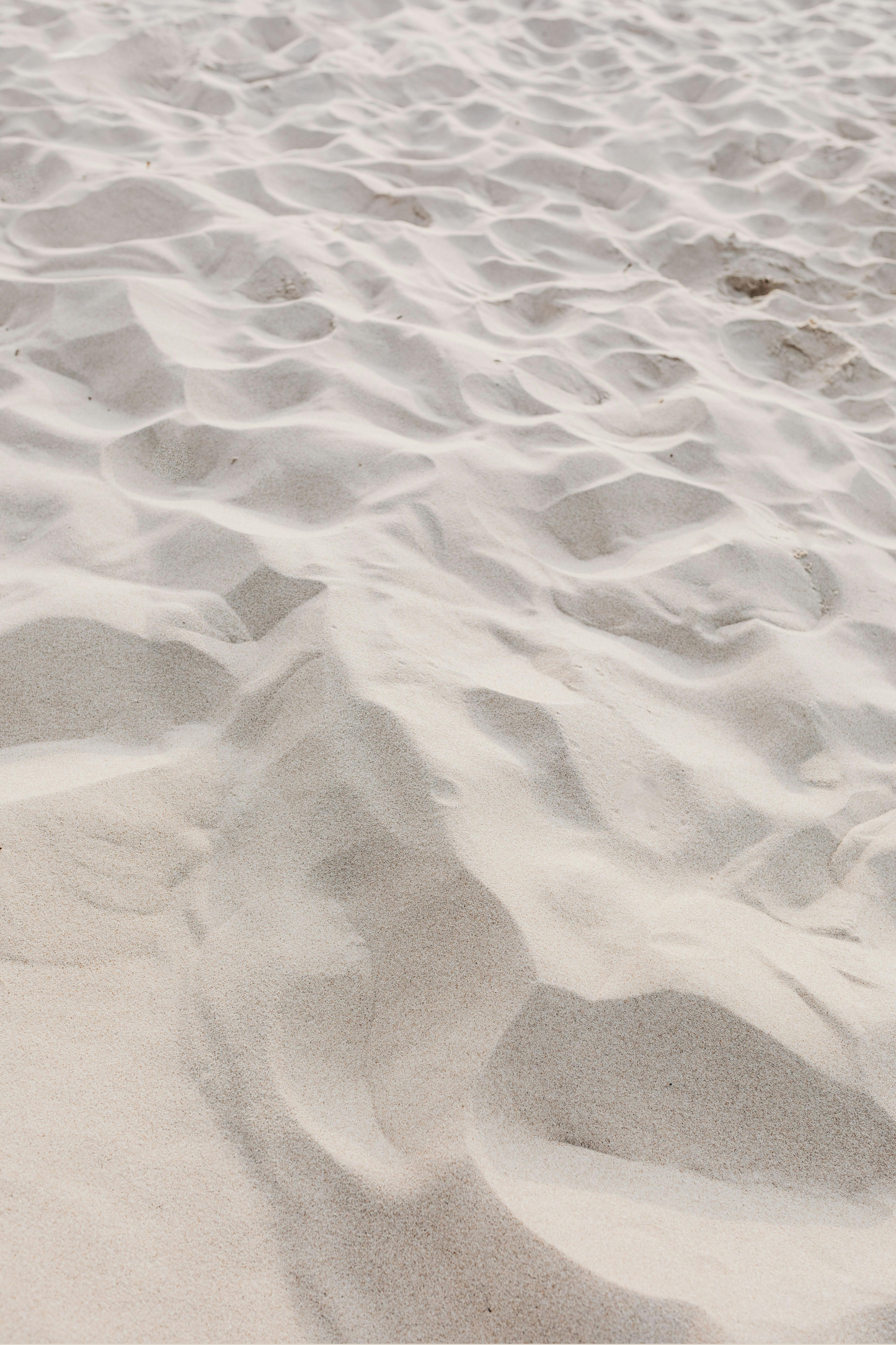 Dune nature art print — Art Spectrum