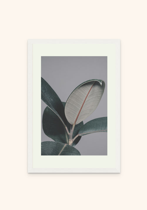 Eclipse framed print in a white frame — Art Spectrum