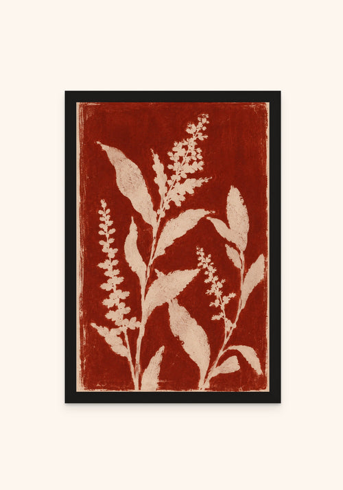 Flores framed print in a black frame — Art Spectrum