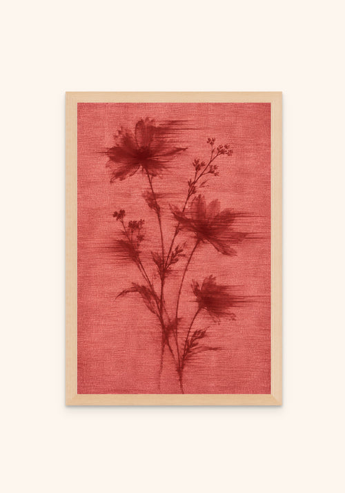 Flores Rojos