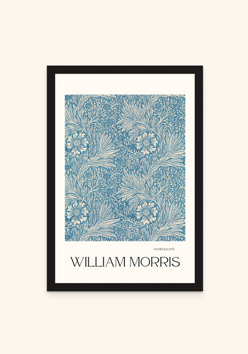 Marigold framed print in a black frame — Art Spectrum