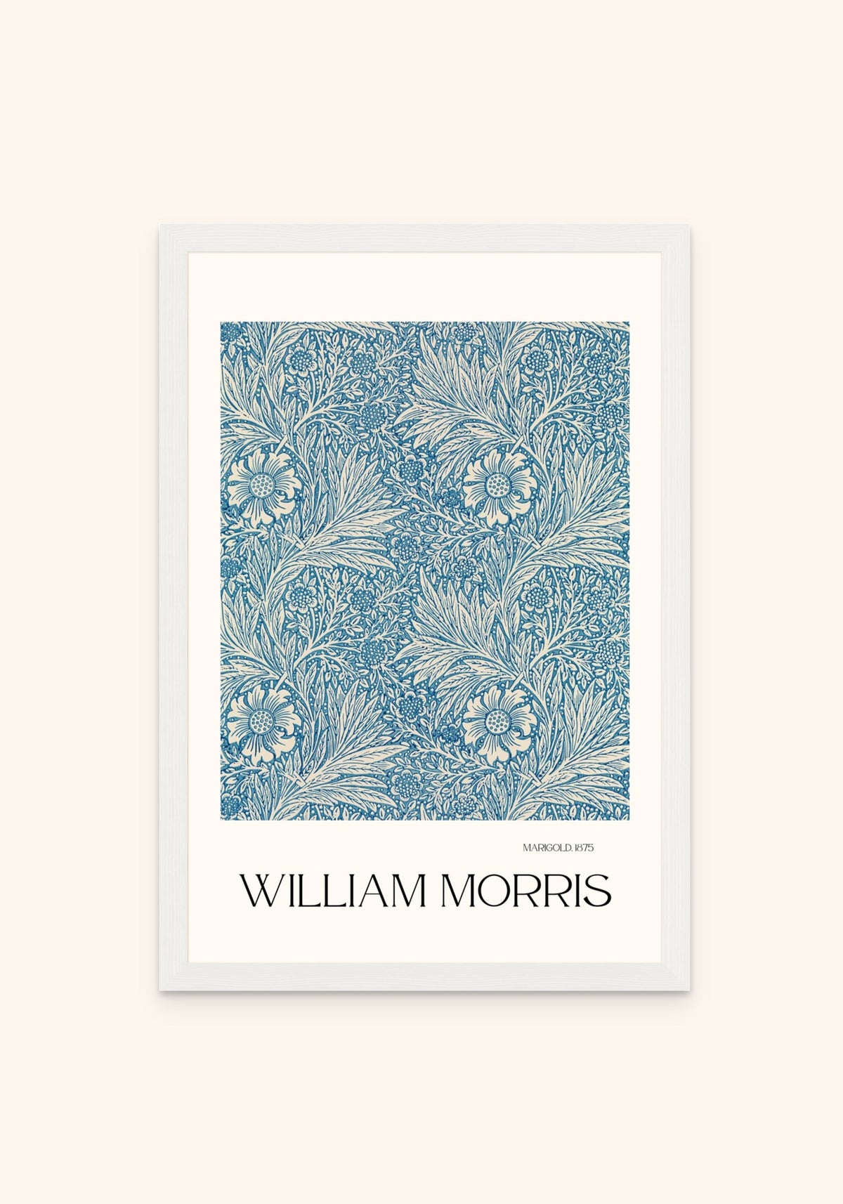 Marigold framed print in a white frame — Art Spectrum