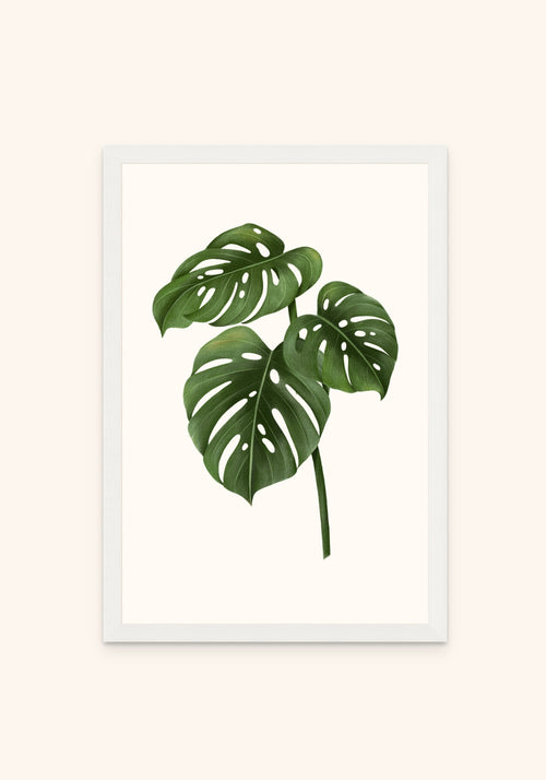 Monstera framed print in a white frame — Art Spectrum