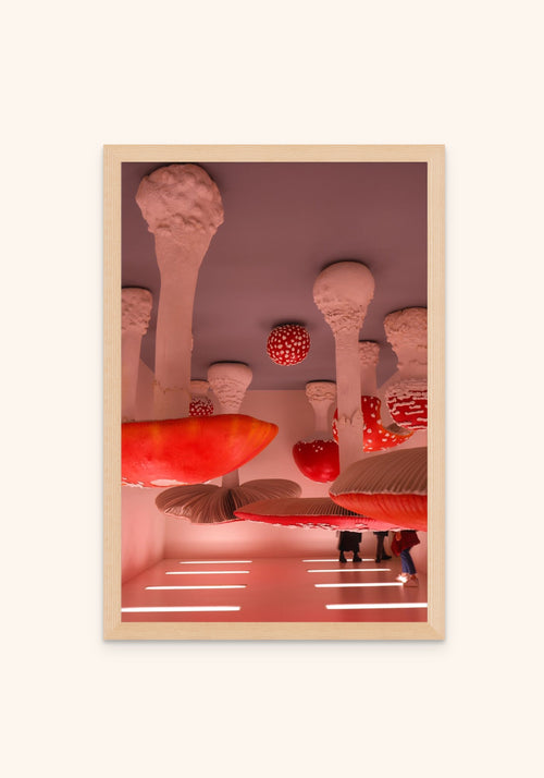 Mushrooms - Art Spectrum