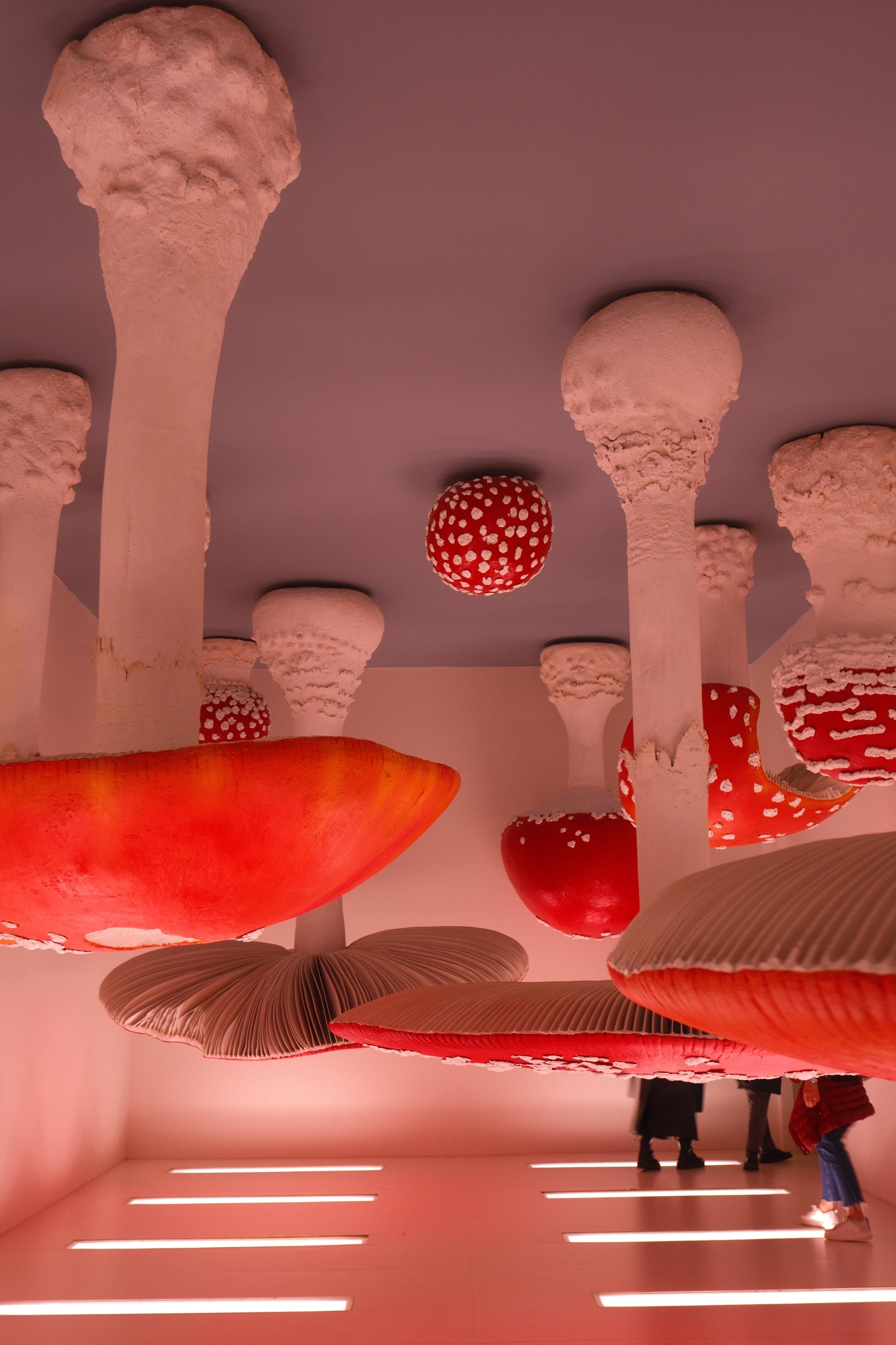 Mushrooms - Art Spectrum