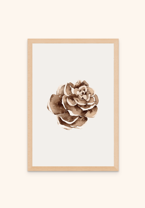 Pine Cone 1 - Art Spectrum