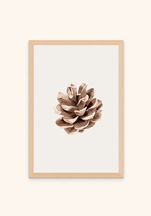 Pine Cone 2 - Art Spectrum