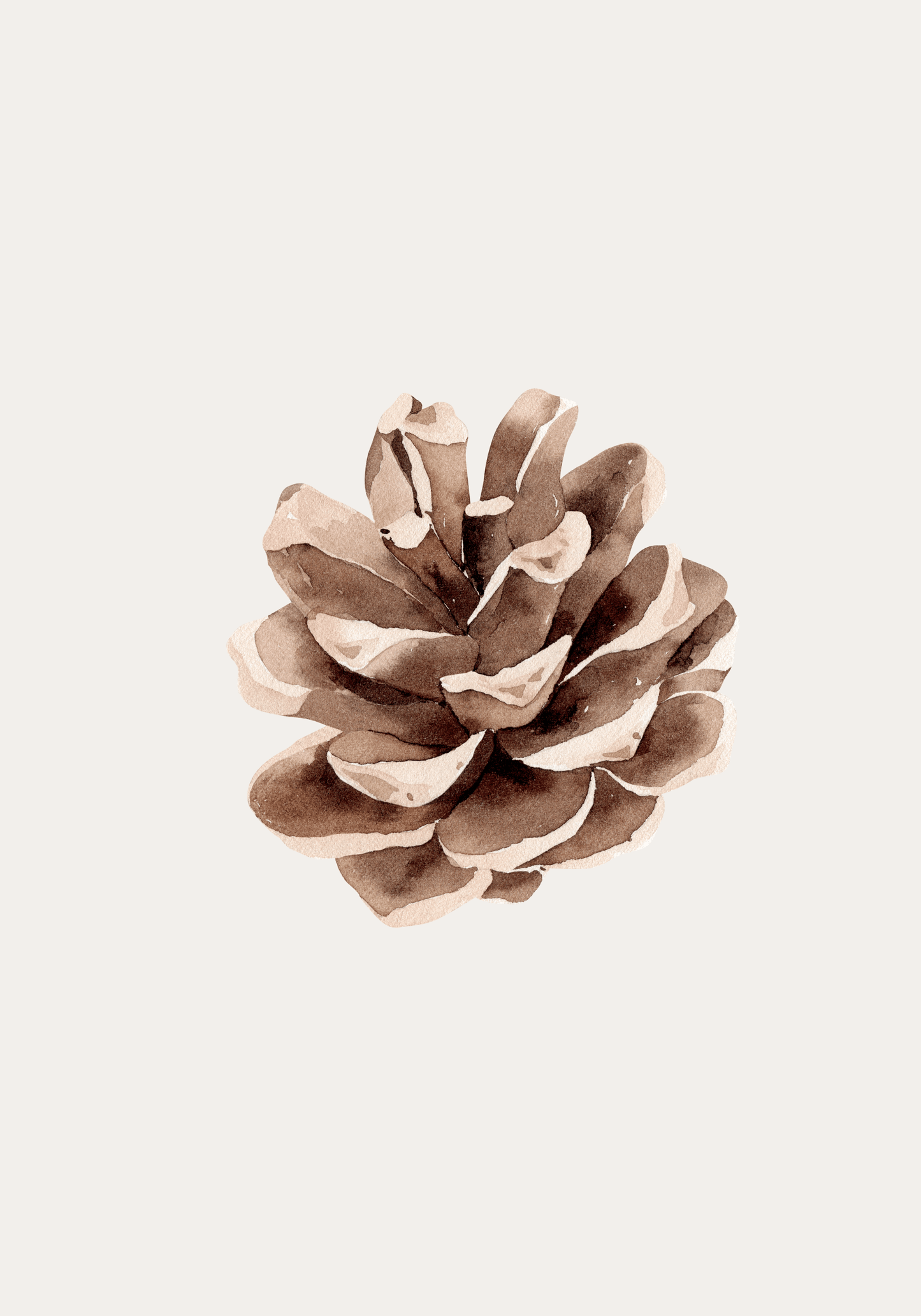 Pine Cone 2 - Art Spectrum