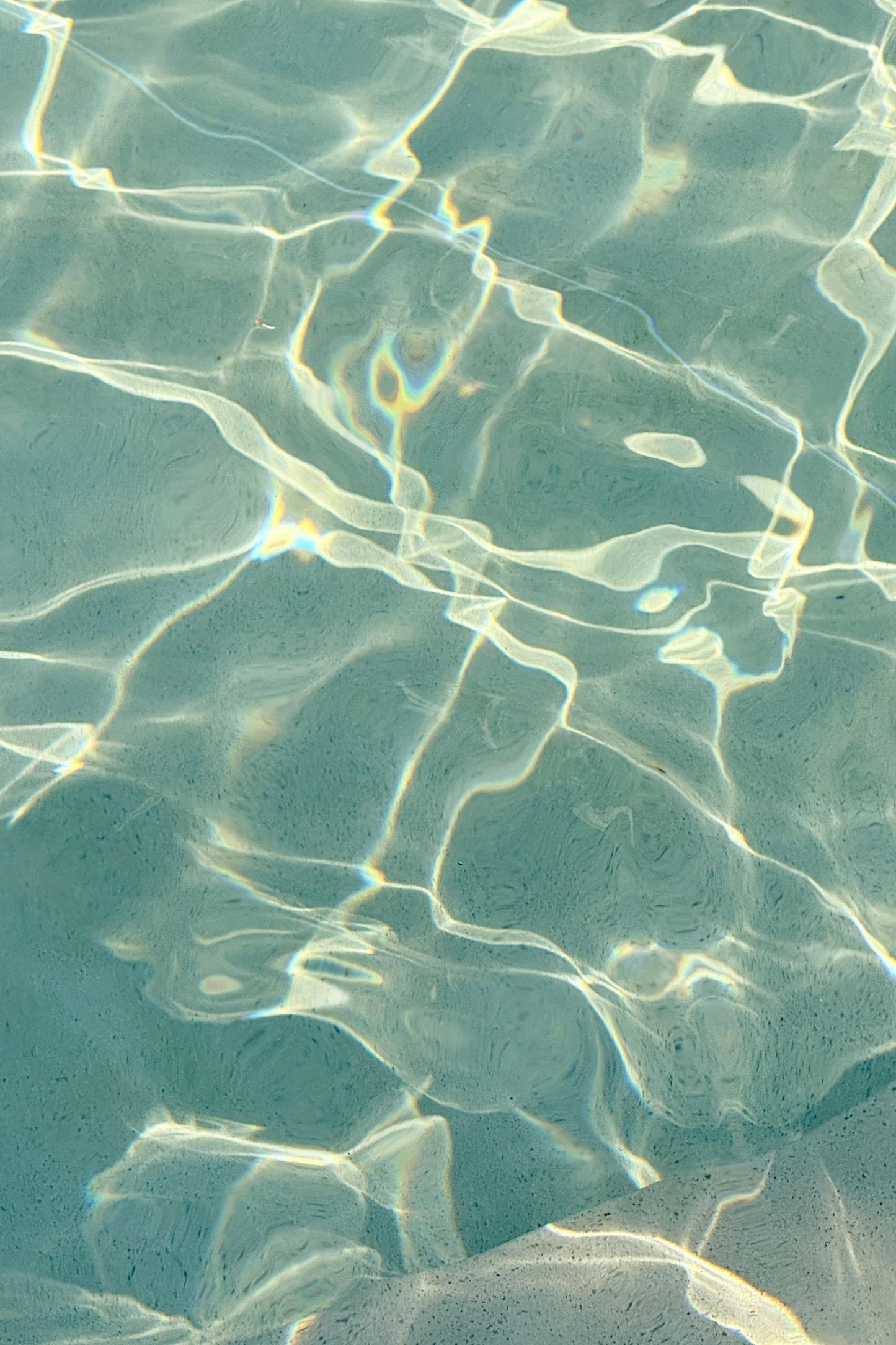 Refraction nature art print — Art Spectrum