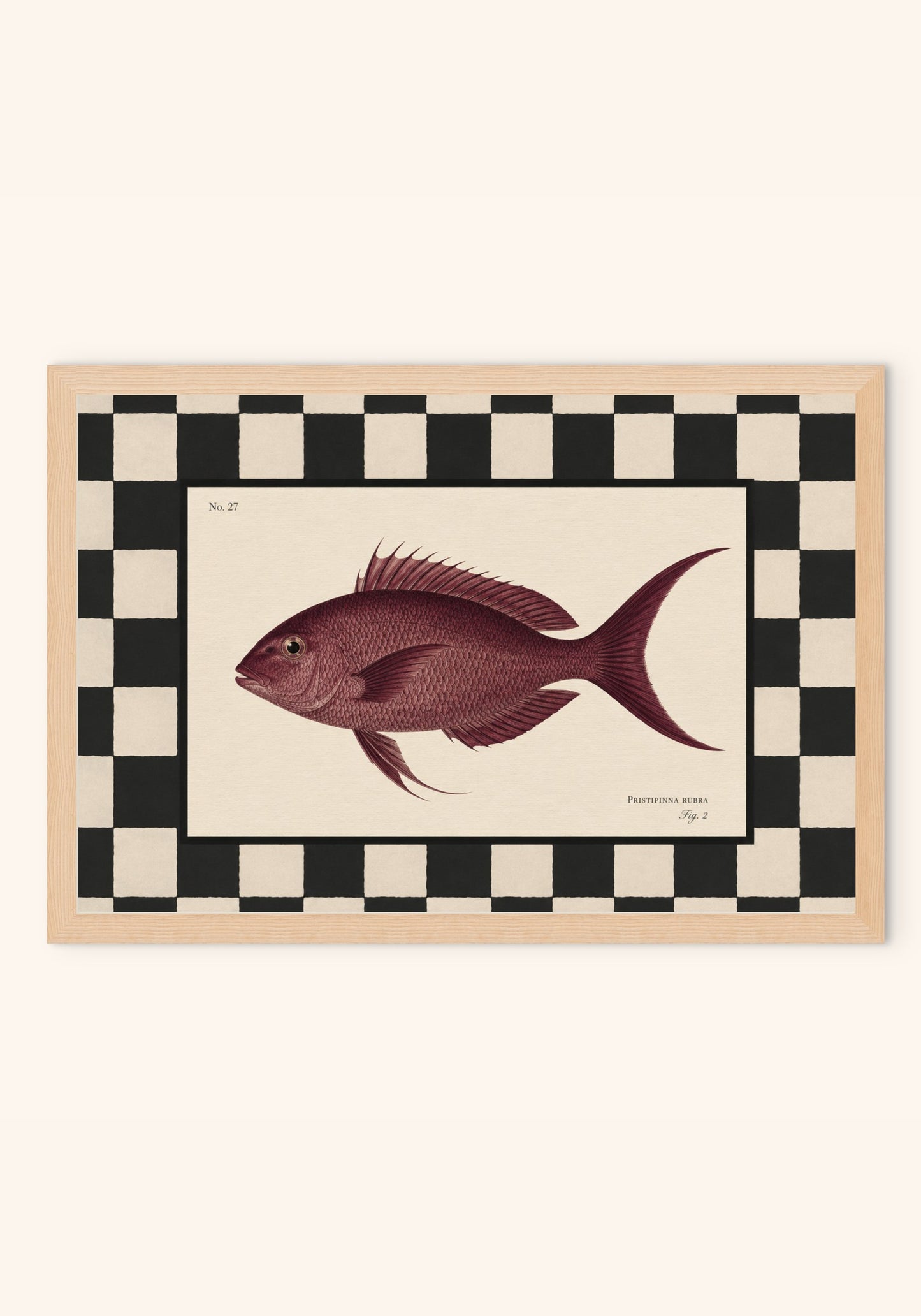 Rubra vintage art print in a frame — Art Spectrum