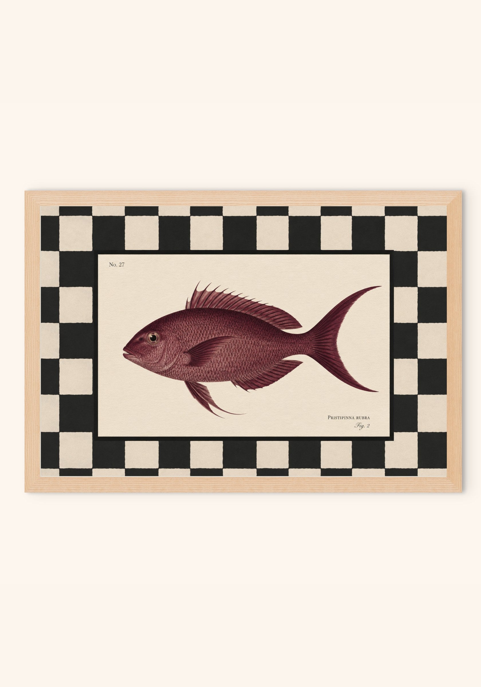 Rubra vintage art print in a frame — Art Spectrum