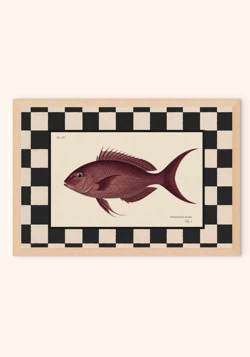 Rubra vintage art print in a frame — Art Spectrum