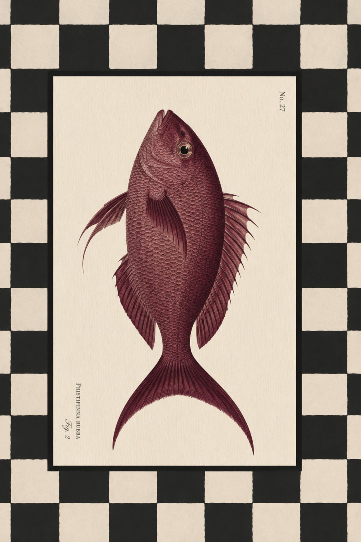 Rubra vintage art print — Art Spectrum