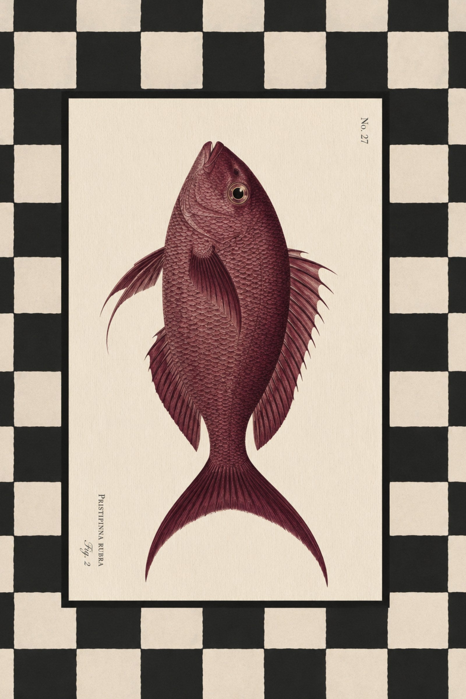Rubra vintage art print — Art Spectrum