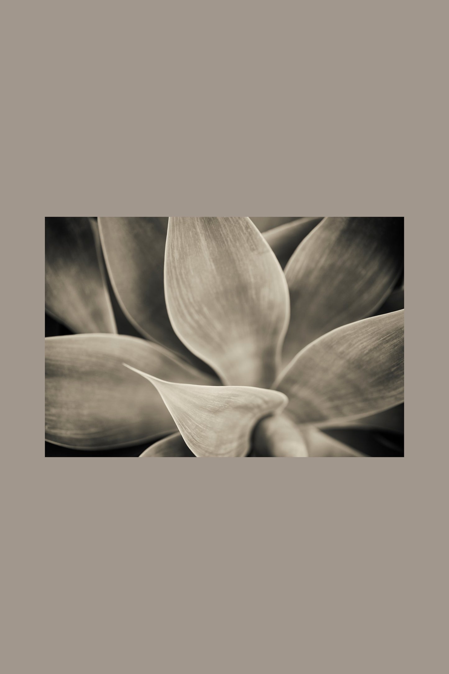 Serene nature art print — Art Spectrum