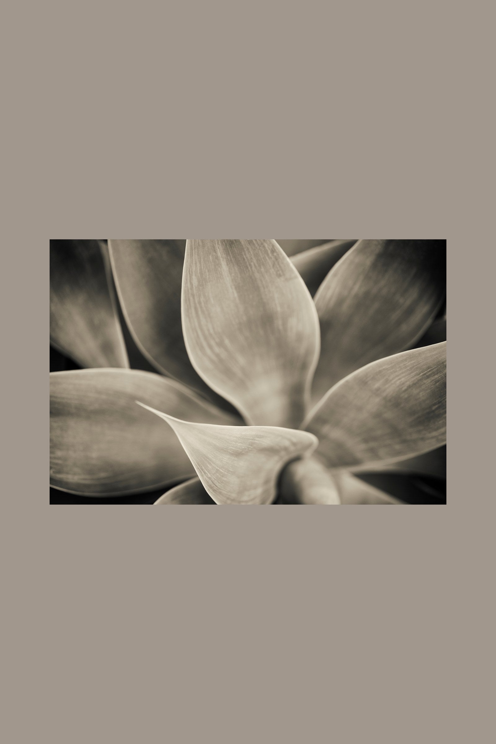 Serene nature art print — Art Spectrum