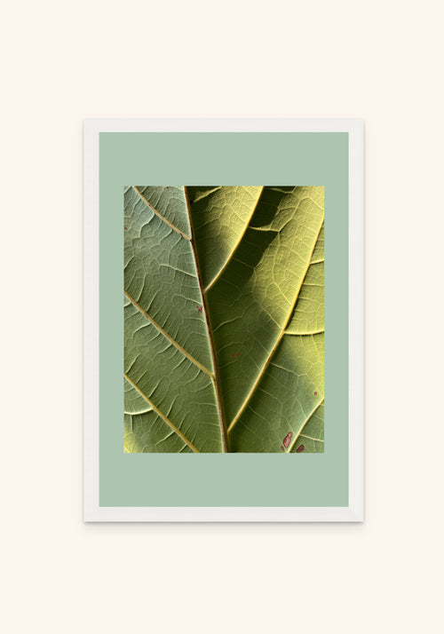Verdure framed print in a white frame — Art Spectrum
