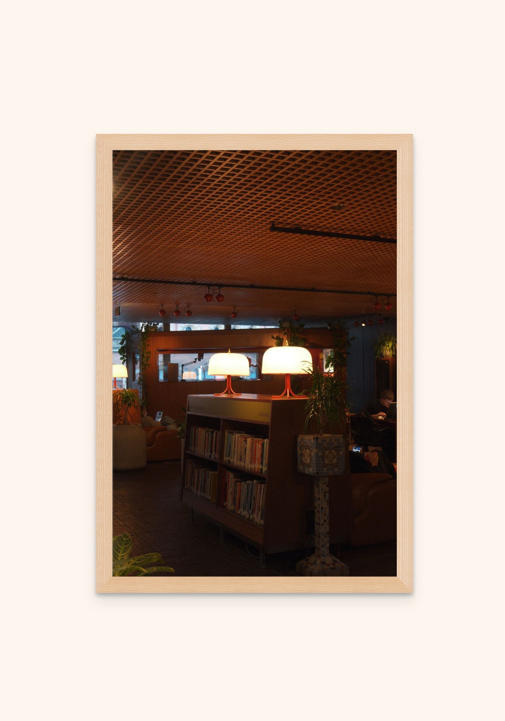 Warmth Between The Shelves 2 - Art Spectrum