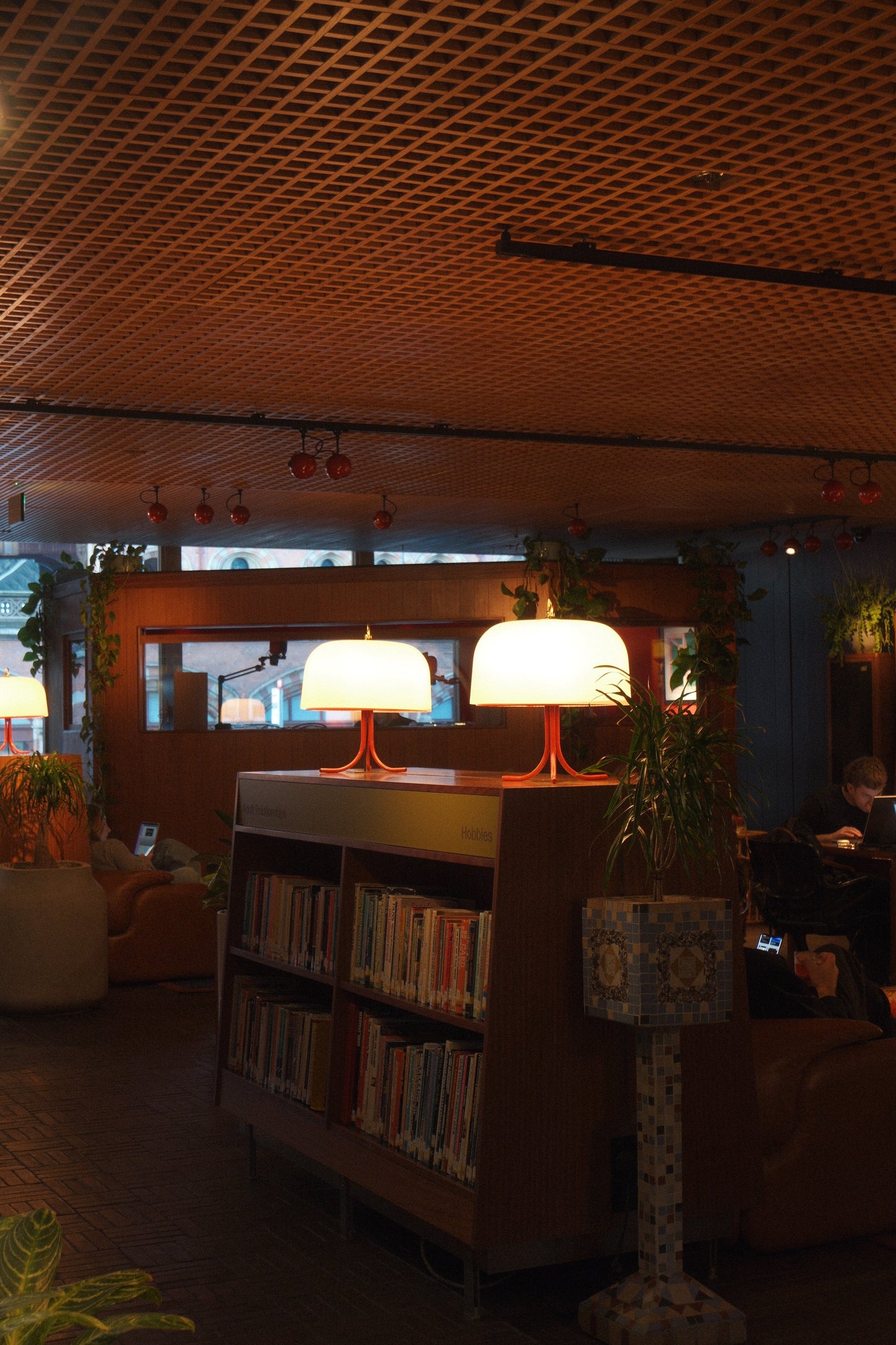 Warmth Between The Shelves 2 - Art Spectrum