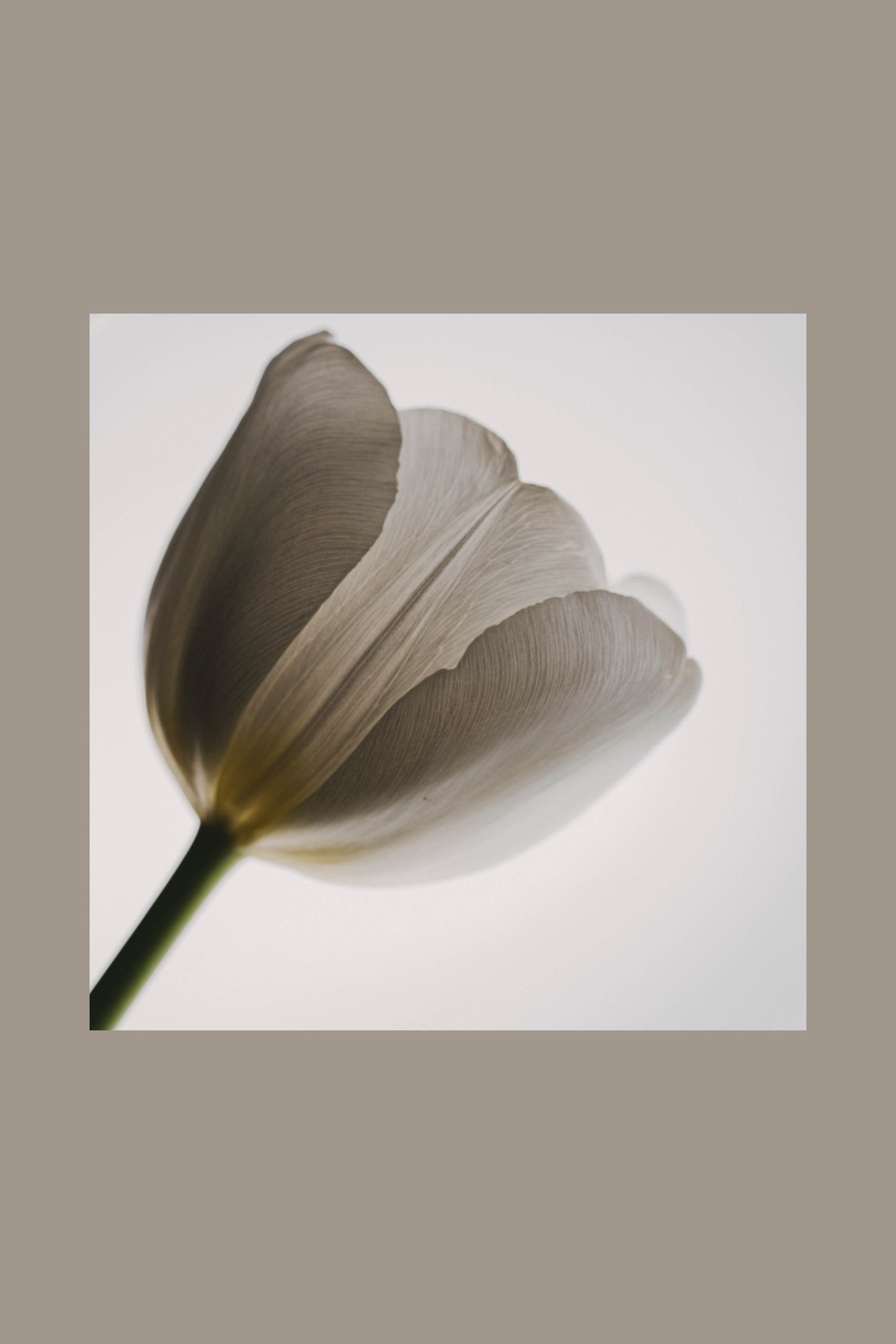 Whisper nature art print — Art Spectrum