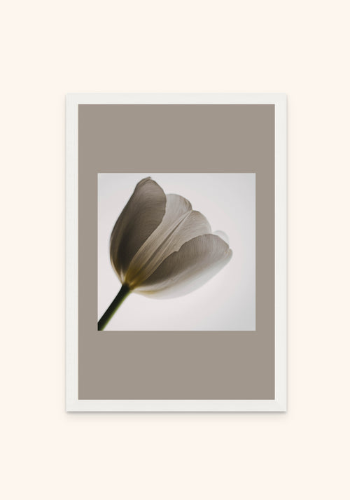 Whisper framed print in a white frame — Art Spectrum