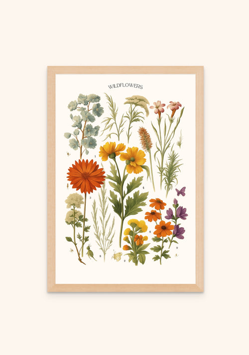 Wildflowers - Art Spectrum